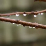 Efektivní využívání dešťové vody