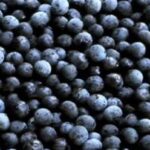 Zapomeňte na Acai ze zahrádky a volte energii z Brazílie