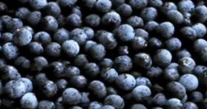 acai