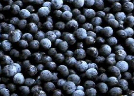 acai